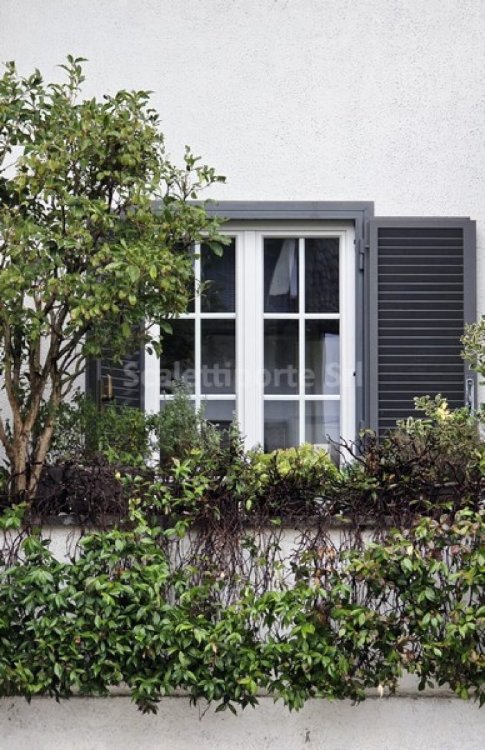 Finwindow con inglesina